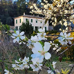 Agroturisme Finca Sa Maniga Bunyola